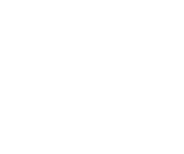 Publicis Media